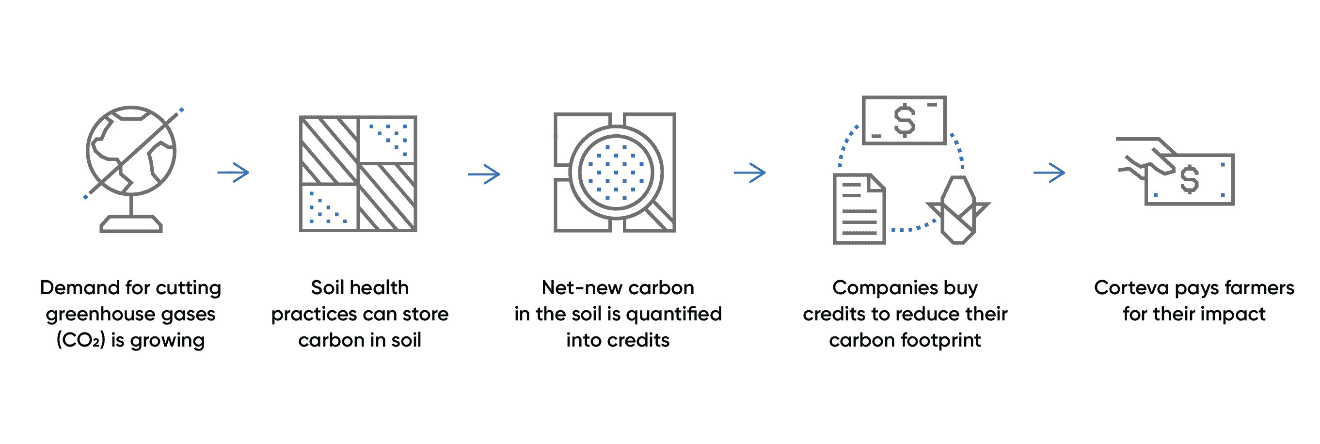 How does a Carbon Program Work