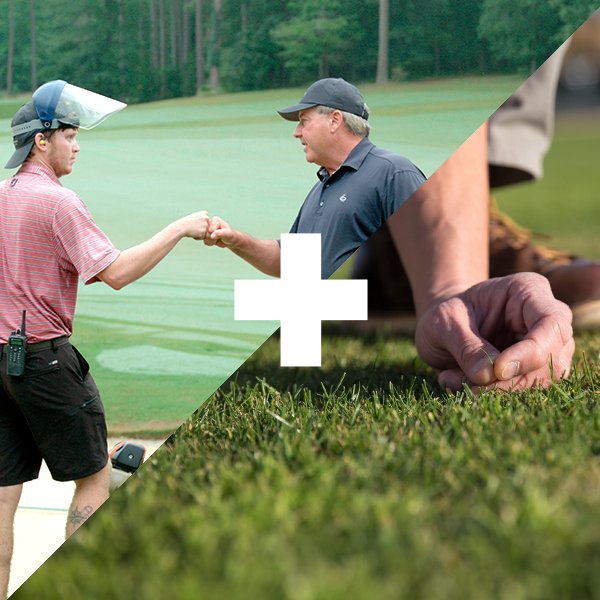 Fist bump and examining grass