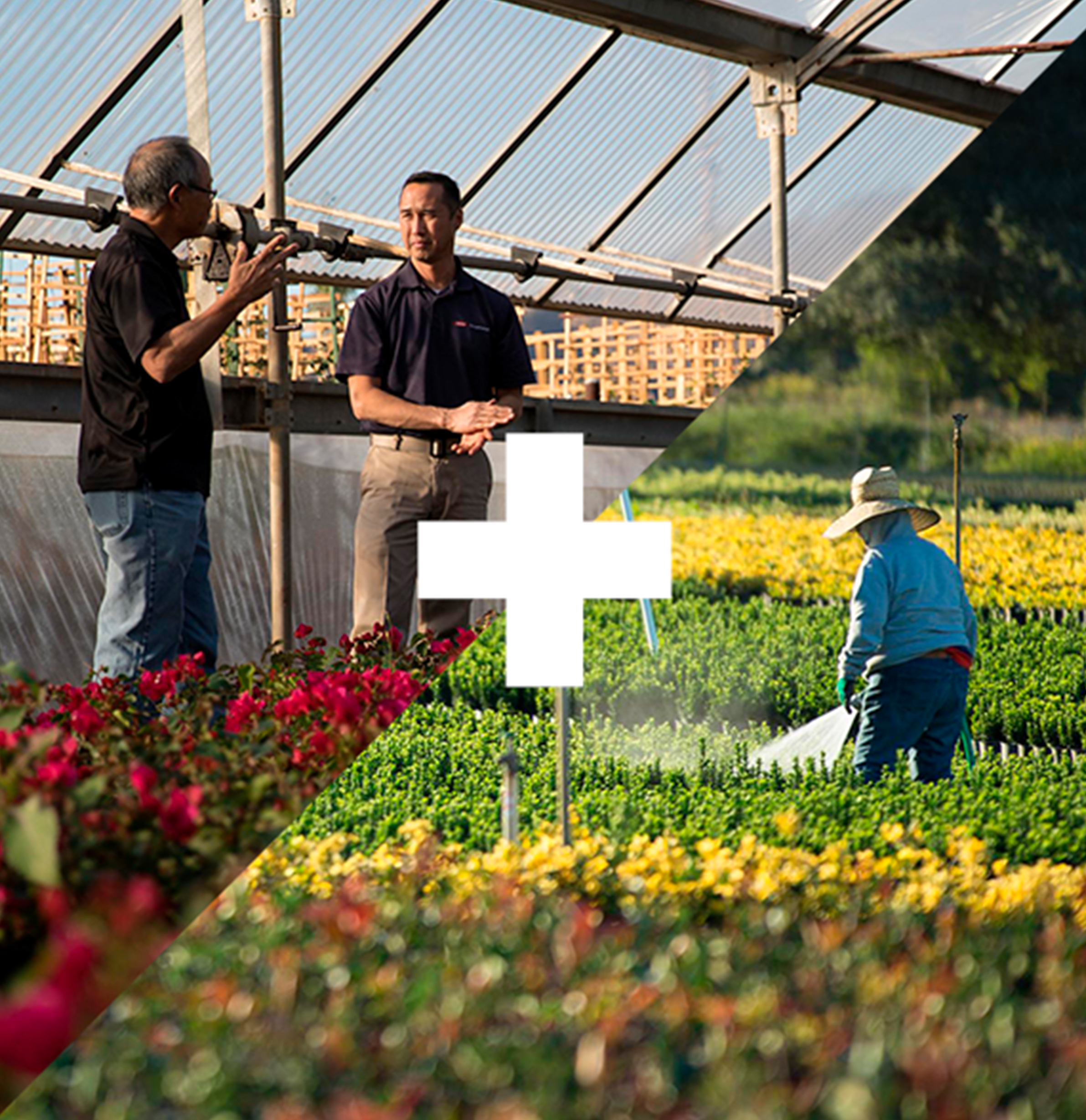 Greenhouse and plant watering with plus sign